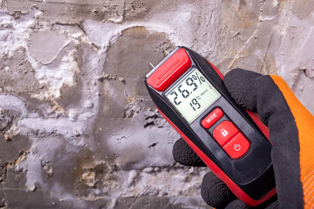 Best Mold Testing and Inspection Services in Big Lake, MN